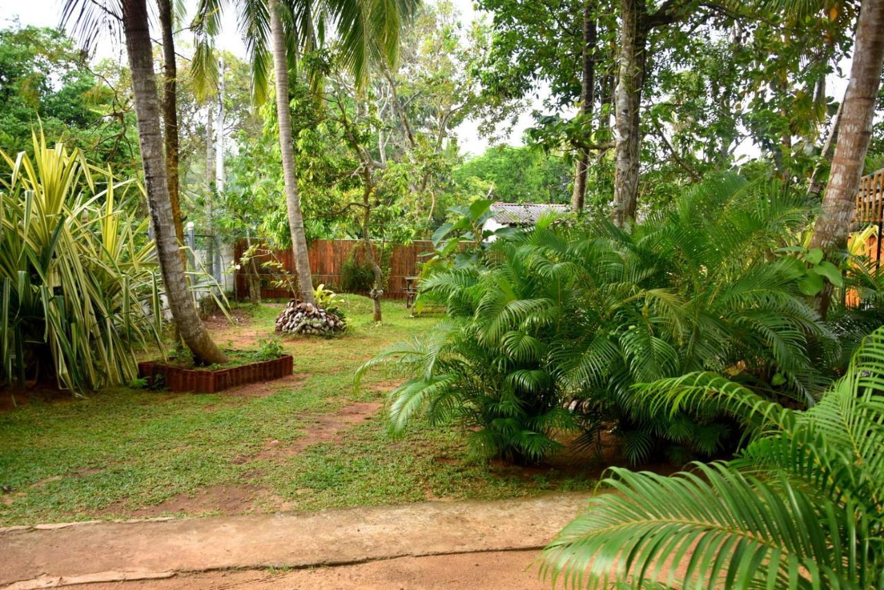 S P City Resort Anuradhapura Zewnętrze zdjęcie
