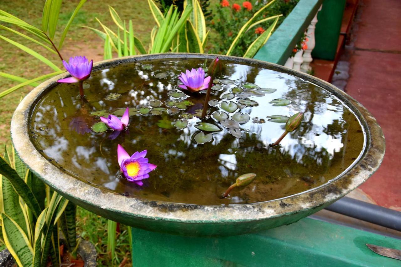 S P City Resort Anuradhapura Zewnętrze zdjęcie