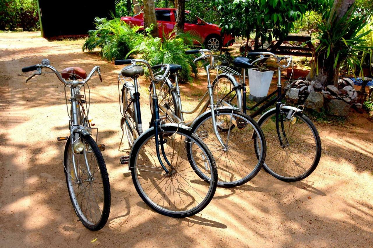 S P City Resort Anuradhapura Zewnętrze zdjęcie